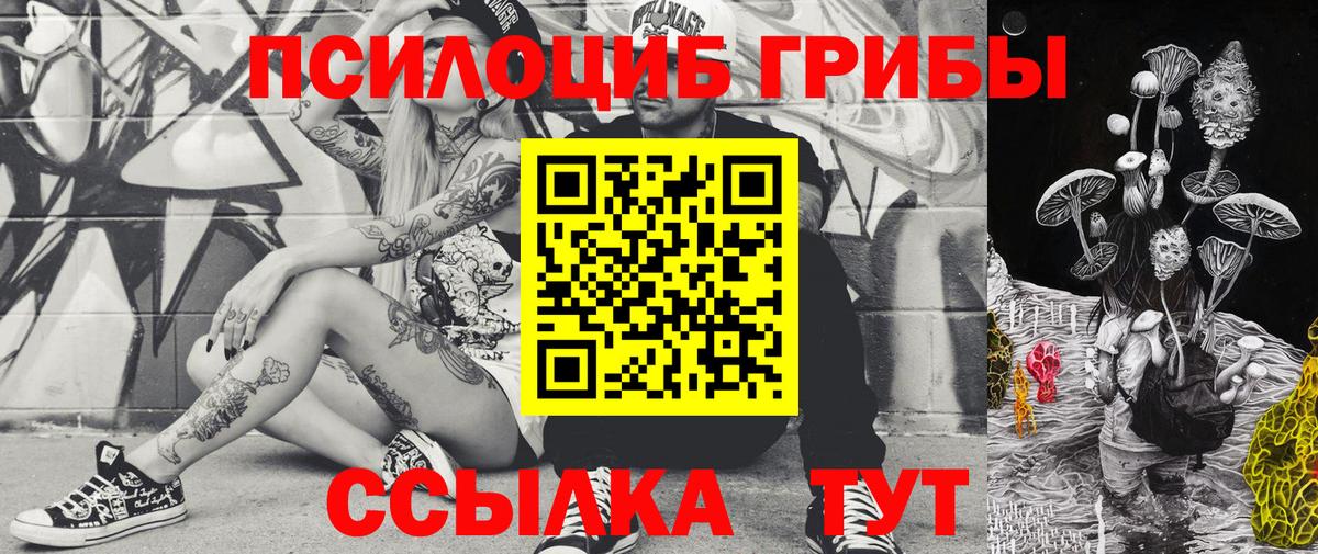Псилоцибиновые грибы мухоморы Заринск