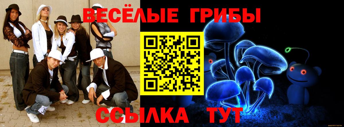 Заринск  Псилоцибиновые грибы мухоморы  закладки  Галлюциногенные грибы мухоморы  Вход с VPN 